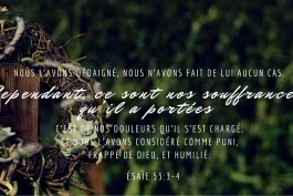 Votre nourriture quotidienne