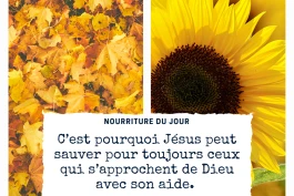 Votre Nourriture Quotidienne