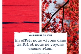 Votre Nourriture Quotidienne