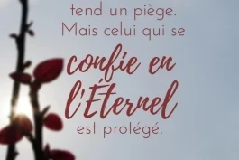 Votre nourriture quotidienne