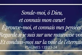 Votre nourriture quotidienne