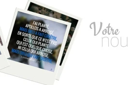 Nouvel article N° 156