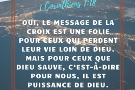 Votre nourriture du jour