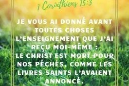Votre nourriture du jour