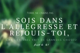 Votre nourriture quotidienne