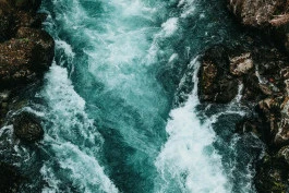 CWM – Season of Creation