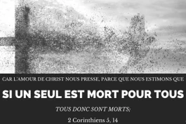 Votre nourriture quotidienne