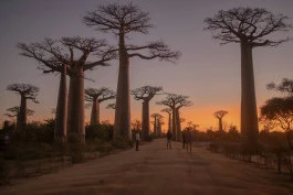 Prayer for Madagascar