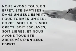 Votre nourriture quotidienne