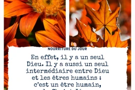 Votre Nourriture Quotidienne
