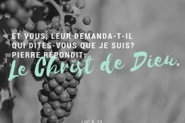 Votre nourriture quotidienne