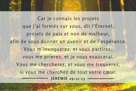 Votre nourriture quotidienne