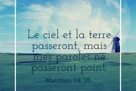 Votre nourriture du jour