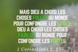 Votre nourriture quotidienne