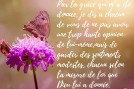 Votre nourriture quotidienne