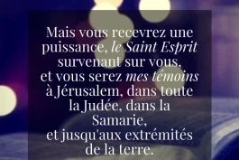 Votre nourriture quotidienne
