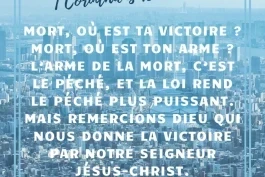 Votre nourriture du jour