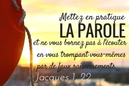 Votre nourriture du jour