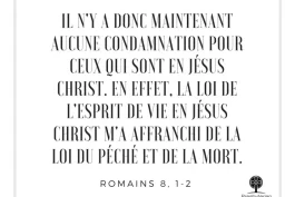 Votre nourriture quotidienne