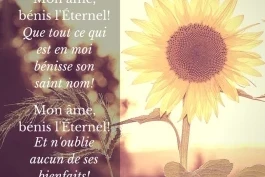 Votre nourriture du jour