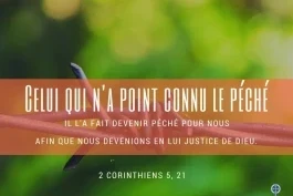 Votre nourriture quotidienne