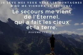 Votre nourriture quotidienne