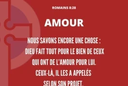 Votre Nourriture du Jour