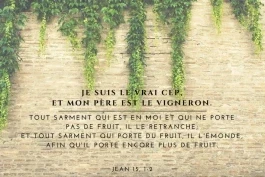 Votre nourriture quotidienne