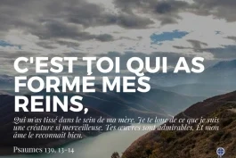 Votre nourriture quotidienne