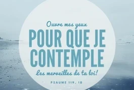 Votre nourriture du jour