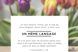 Votre nourriture quotidienne