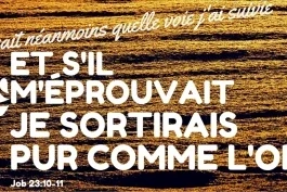 Votre nourriture quotidienne