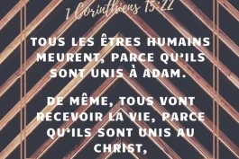 Votre nourriture du jour