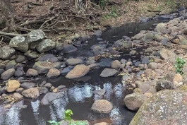 Sortie au Reef to Ridge