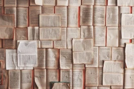 Ligue pour la Lecture de la Bible - Vente de livres