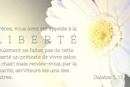 Votre nourriture quotidienne