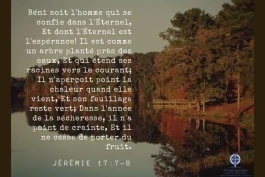 Votre nourriture quotidienne