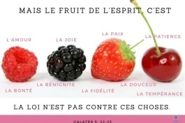 Votre nourriture quotidienne