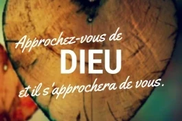 Votre nourriture du jour