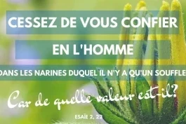 Votre nourriture quotidienne