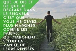 Votre nourriture quotidienne