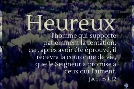 Votre nourriture quotidienne