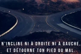 Votre nourriture quotidienne