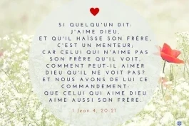 Votre nourriture du jour