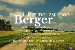 Votre nourriture quotidienne