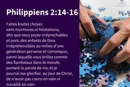 Nouvel article N° 169