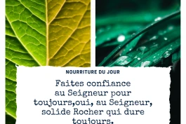 Votre Nourriture Quotidienne