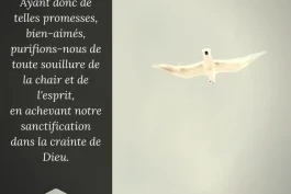 Votre nourriture quotidienne
