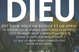 Votre nourriture du jour