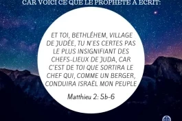 Votre nourriture quotidienne